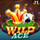 Wild Ace okada login slot game